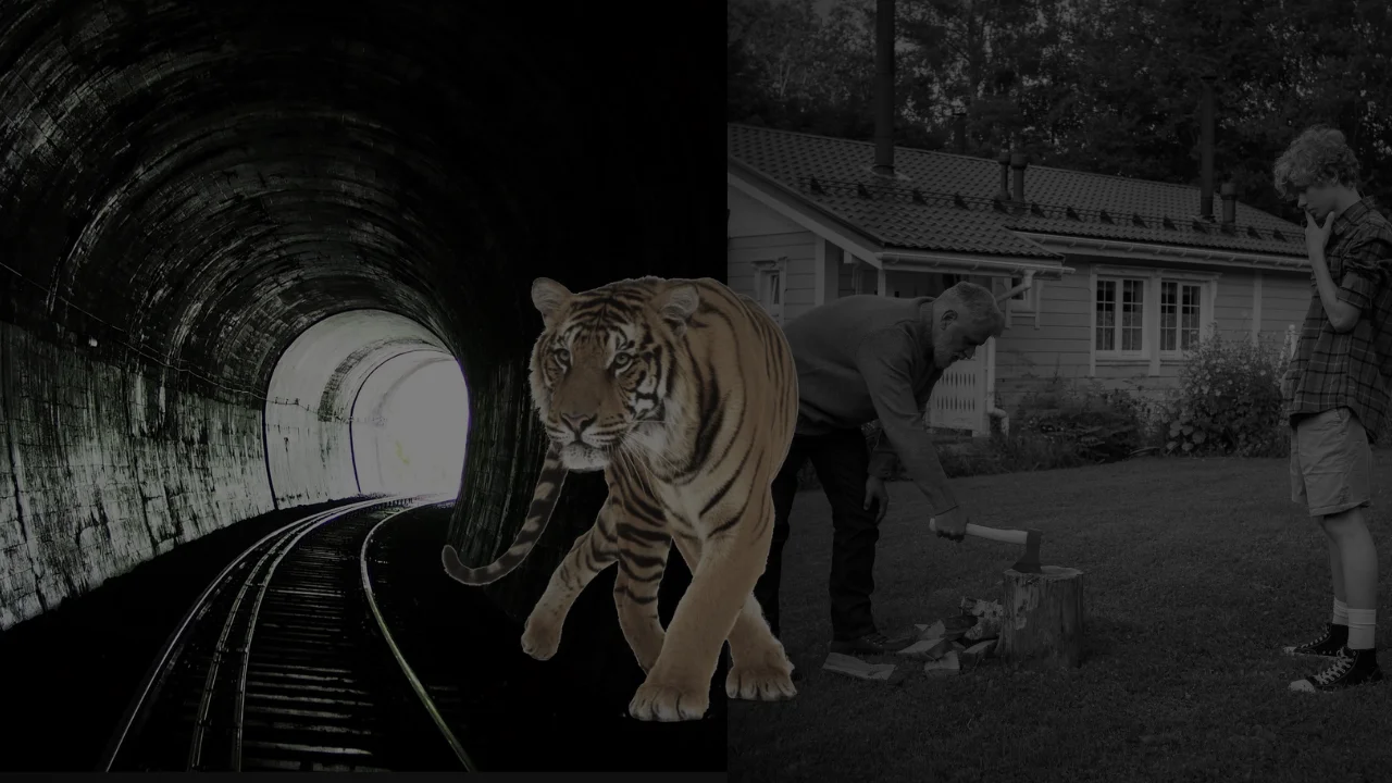 The tiger in the tunnel