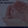 Online Birth Certificate System